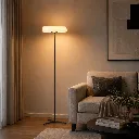 FL1209_E1.webp