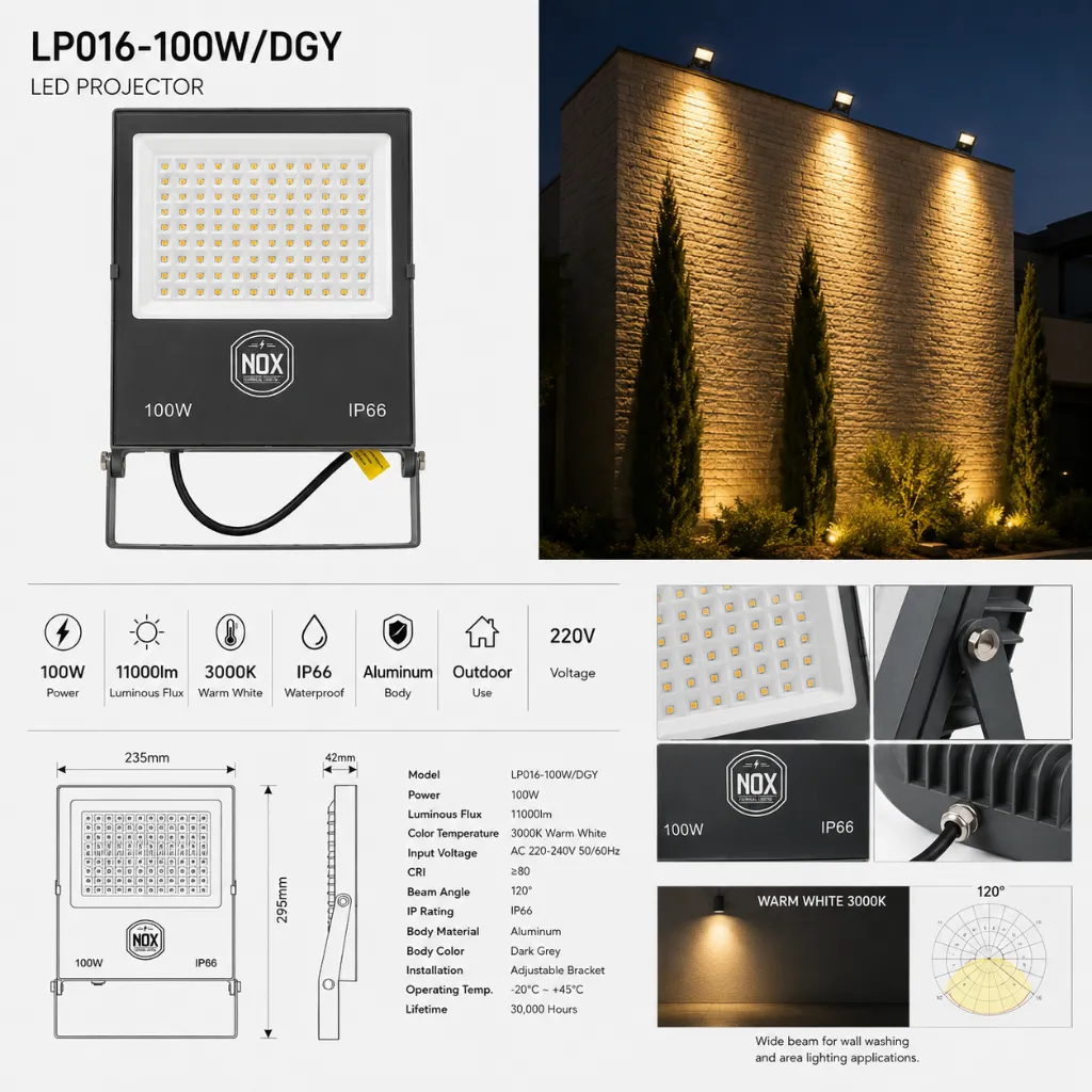 LP016-100W:DGY-E2.webp