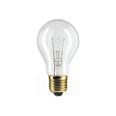 Incandescent Lamp 100W E27 A60 Clear