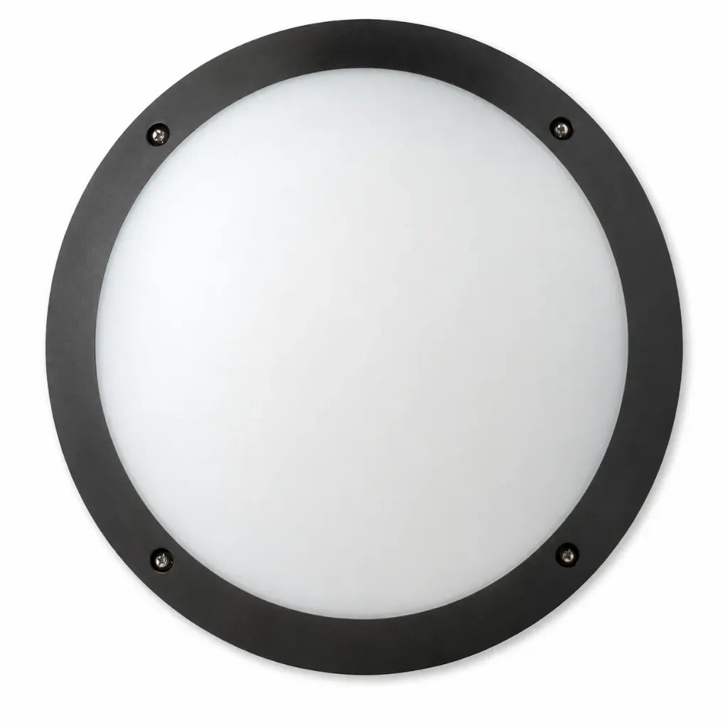 Dark Grey Aluminum Ceiling Lamp | 12W LED
