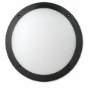 Dark Grey Aluminum Ceiling Lamp | 12W LED