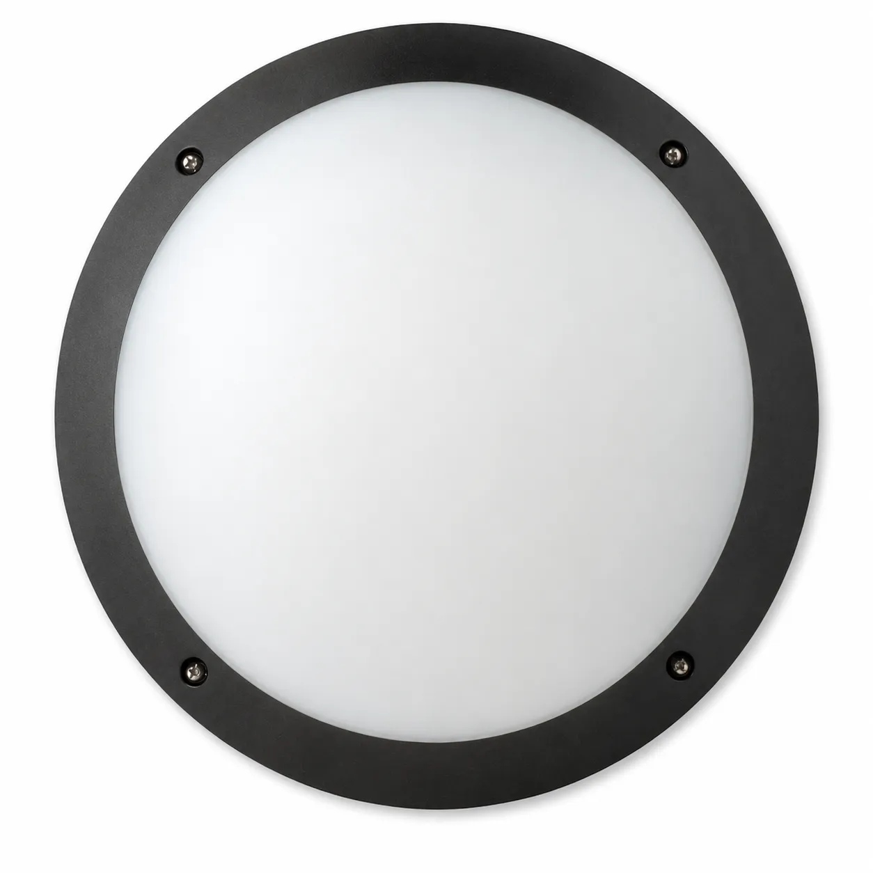 Dark Grey Aluminum Ceiling Lamp | 12W LED
