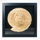 Golden Shell Wall Art