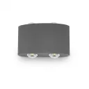 Arcadia Sanded Dark Grey Dual-Beam Wall Light