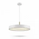 Round LED Pendant Light