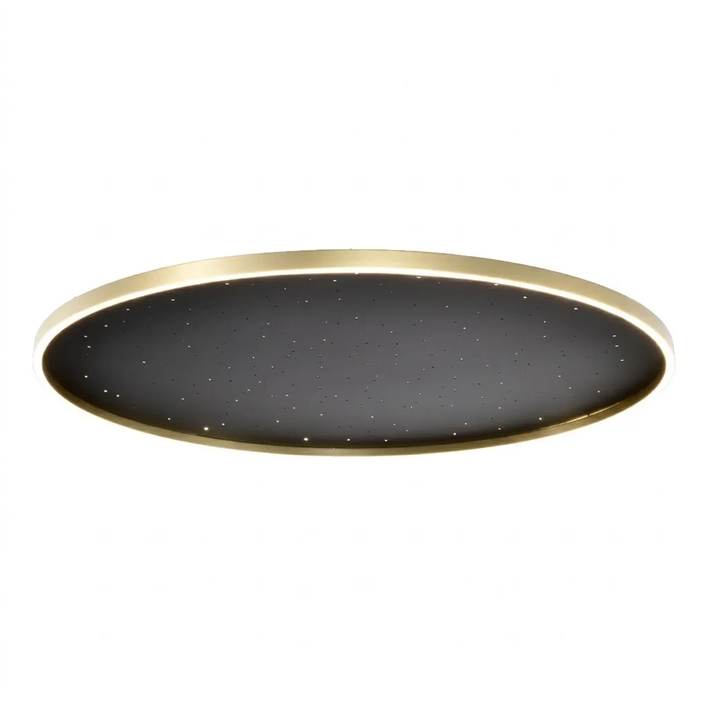 Celestial Black & Gold LED Ceiling Lamp